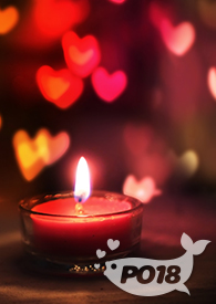 仙侠女频小说高质量推荐