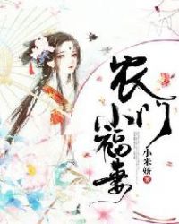农门小医仙小说